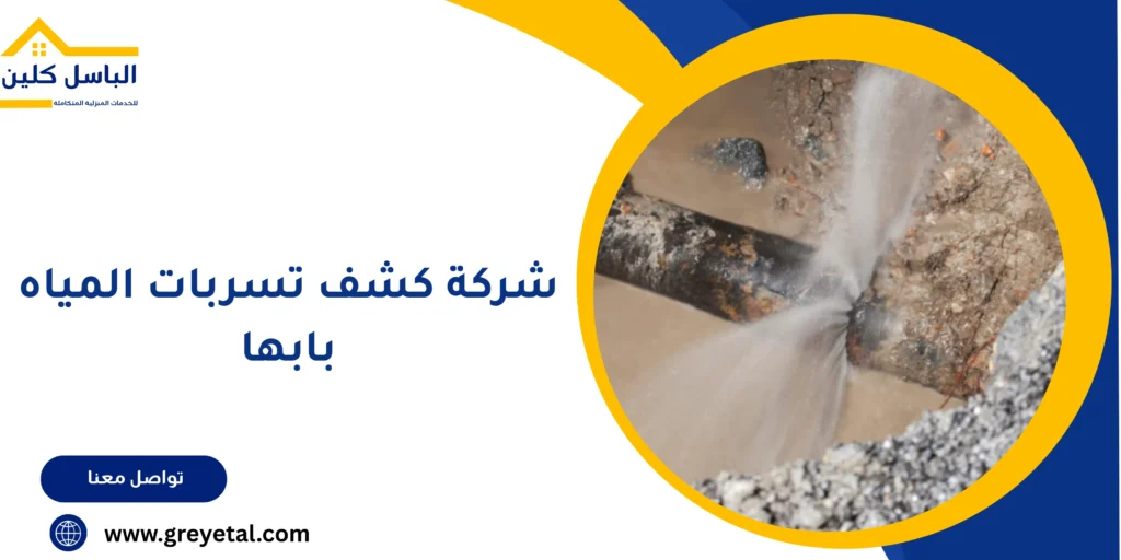 شركة كشف تسربات المياه بابها