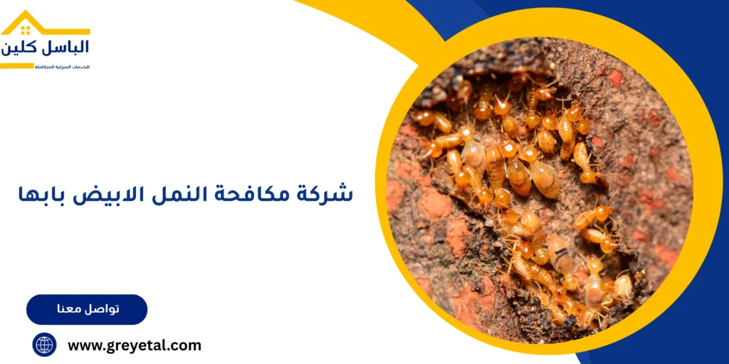 شركة مكافحة النمل الابيض بابها