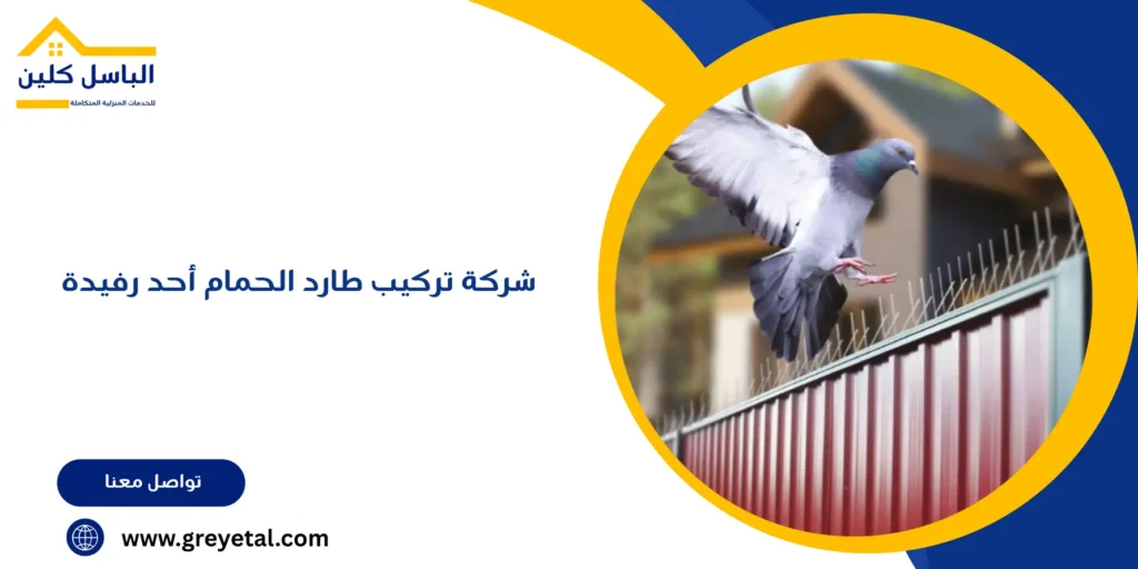 شركة تركيب طارد الحمام أحد رفيدة