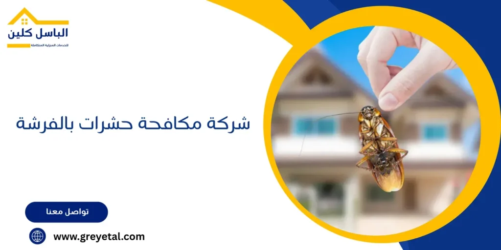 شركة مكافحة حشرات بالفرشة